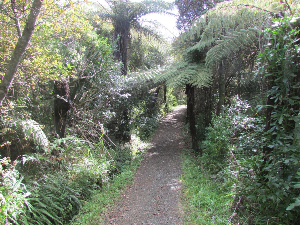 Flaxmill Cove B&B Whitianga Exterior foto